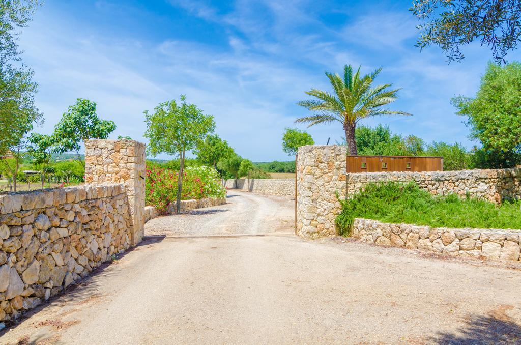 Short De Conies 2 Villa Manacor (Mallorca)